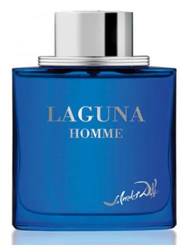 Imagen de Laguna Homme