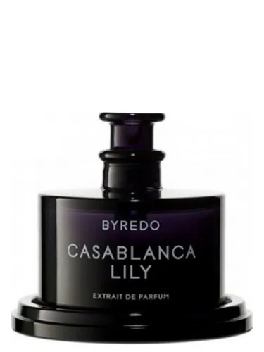 Imagen de Casablanca Lily