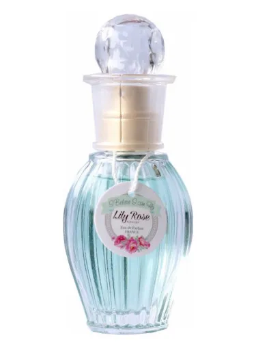 Perfume I Believe I can Fly de Lily Rose Parfums