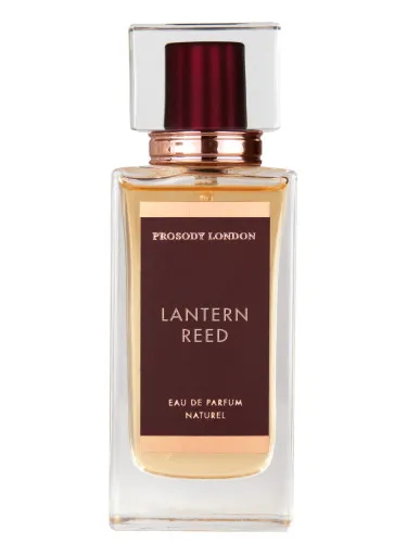 Imagen de Lantern Reed