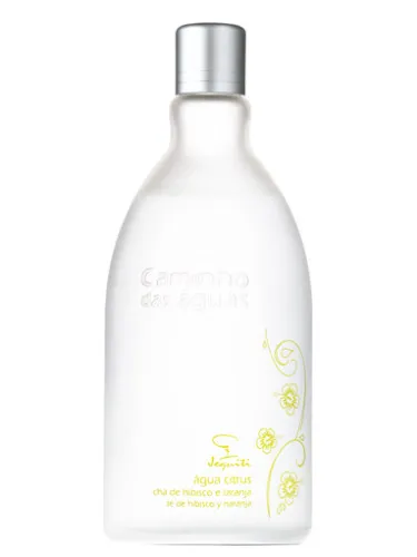 Imagen de Água Citrus Chá de Hibisco e Laranja