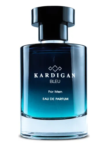 Imagen de Kardigan Bleu