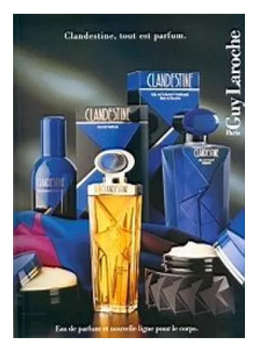 Imagen de Clandestine