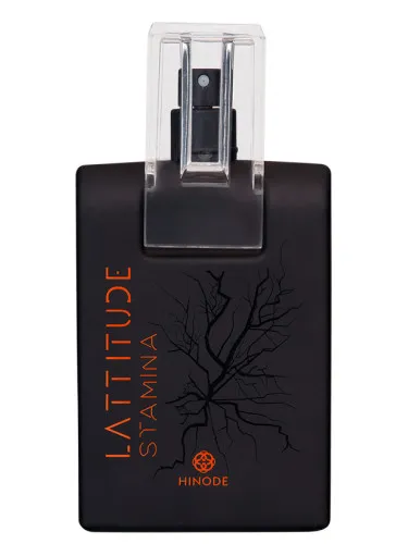 Imagen de Lattitude Stamina
