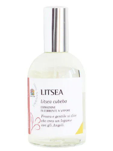 Imagen de Litsea
