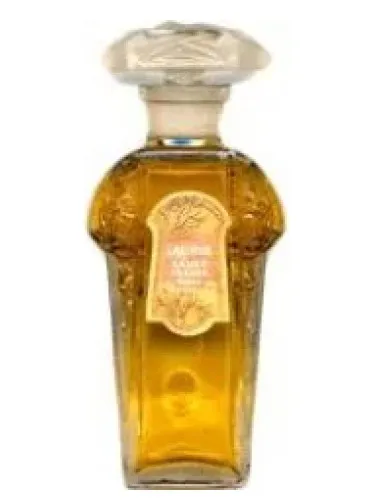Imagen de Lauris