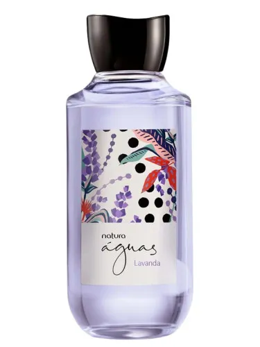 Imagen de Lavanda