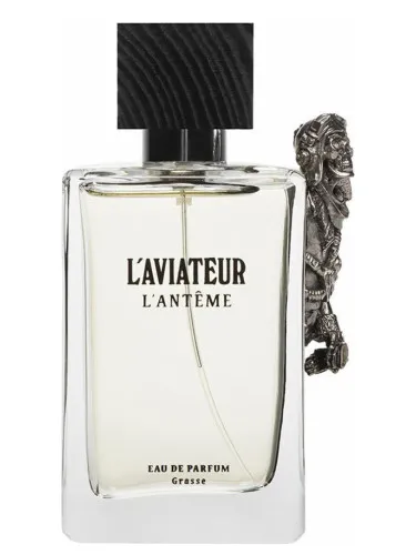 Imagen de L'Aviateur