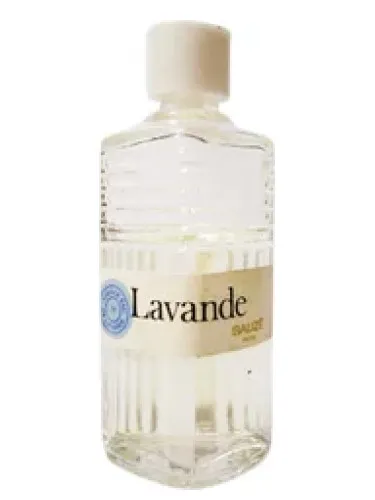 Imagen de Lavande