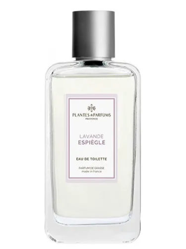 Imagen de Lavande Espiègle