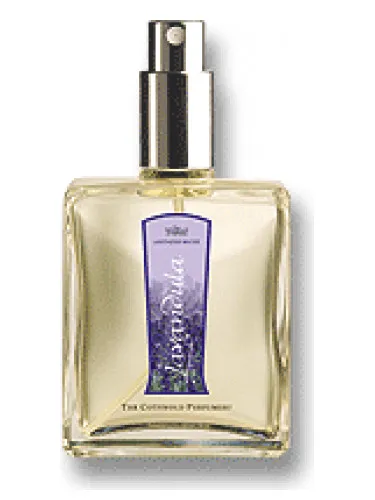 Imagen de Lavandula