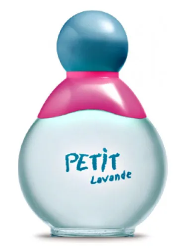 Imagen de Petit Lavande