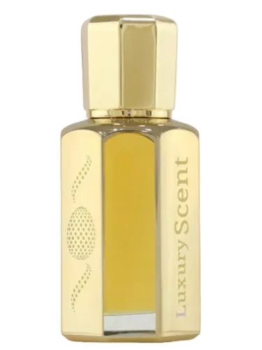 Perfume Traveller Men de Luxury Scent
