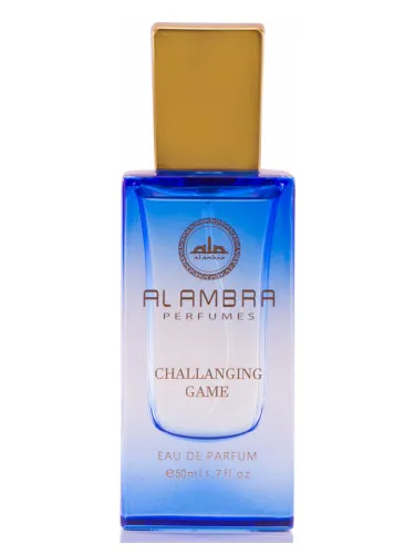 Imagen de Challenging Game