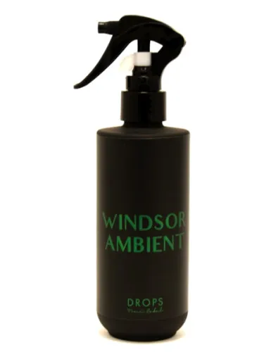 Imagen de WINDSOR AMBIENT