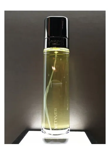 Perfume Vetyver de Bahoma London