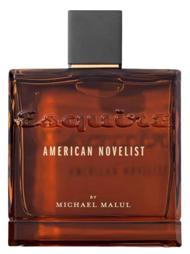 Imagen de American Novelist