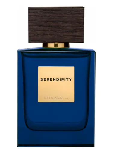 Imagen de Serendipity For Him