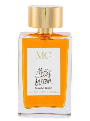 Imagen de Molly Bloom