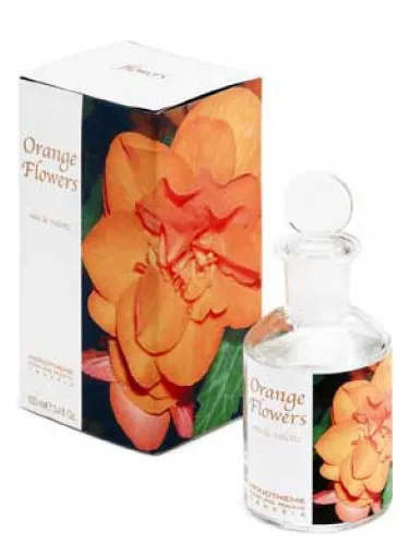 Imagen de Orange Flowers