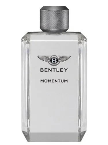Imagen de Momentum
