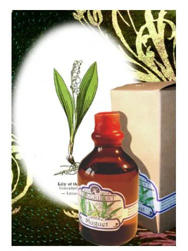Imagen de Muguet