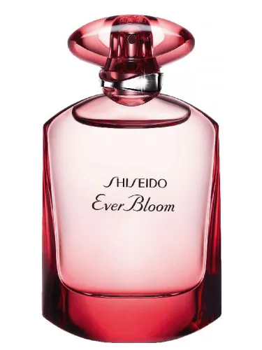 Imagen de Ever Bloom Ginza Flower