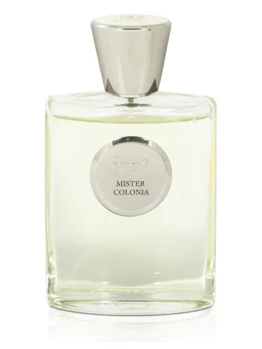 Imagen de Mister Colonia