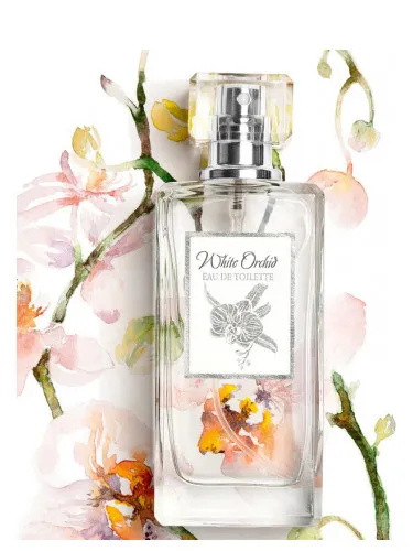 Imagen de White Orchid