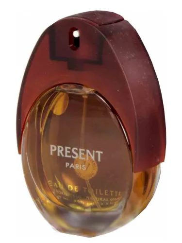 Perfume Present For Men de Jean Louis Vermeil