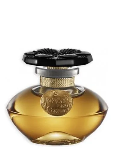 Perfume Narcisse Noir de Caron