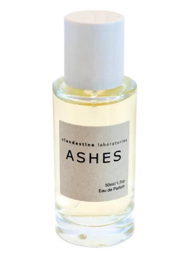 Imagen de Ashes
