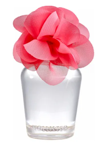 Perfume Addison Sunrise de Hollister