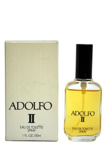 Imagen de Adolfo II
