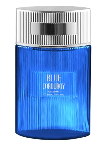Imagen de Blue Corduroy Pour Homme
