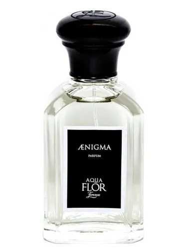 Imagen de Aenigma