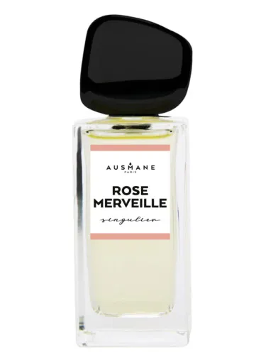 Imagen de Rose Merveille