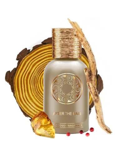 Perfume After The Rain de By Cloud