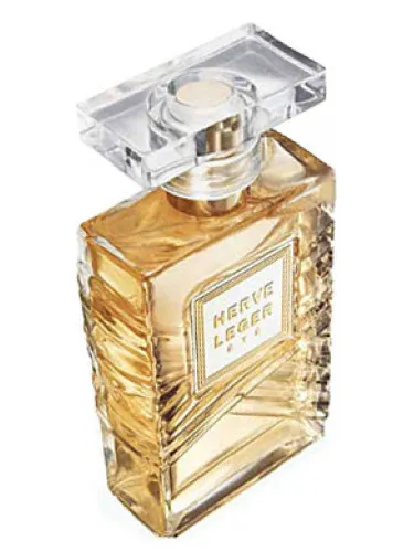 Imagen de Herve Leger Ete