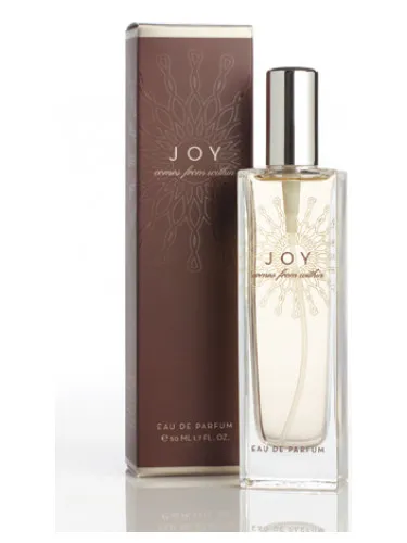 Imagen de What Comes From Within: Joy