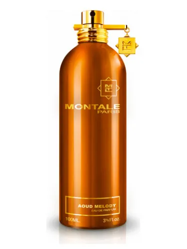 Imagen de Aoud Melody
