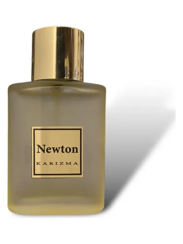 Imagen de NEWTON
