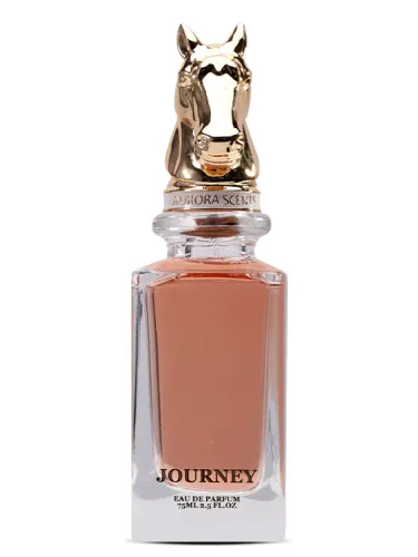 Imagen de Journey