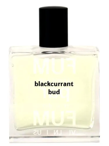Imagen de Blackcurrant Bud