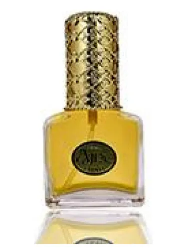 Perfume Spindrift de Ajne
