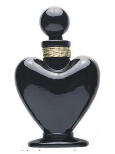 Perfume Joie - Joy de Ajne