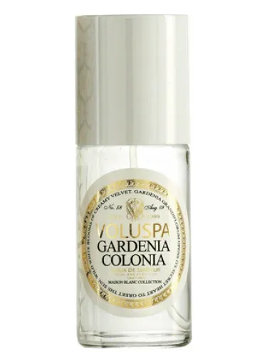 Imagen de Gardenia Colonia