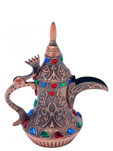 Imagen de Tarneem Attar