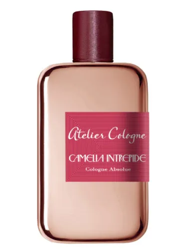 Imagen de Camelia Intrepide