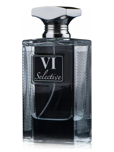 Imagen de Selective VI